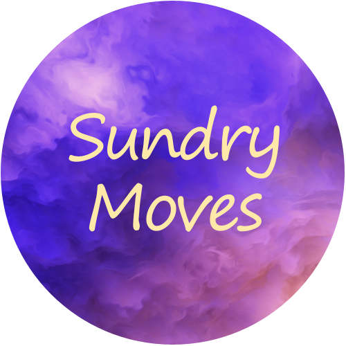 Logo Sundry Moves